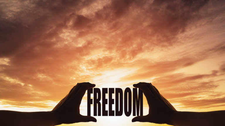 Freedom Header