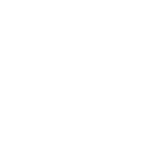 Foolie Vision LLC