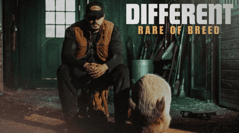 Screenshot 2025-02-28 091137