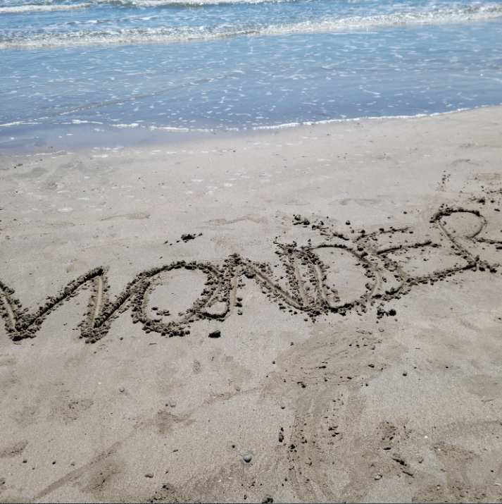 "Wonder" - RaJan Monroe