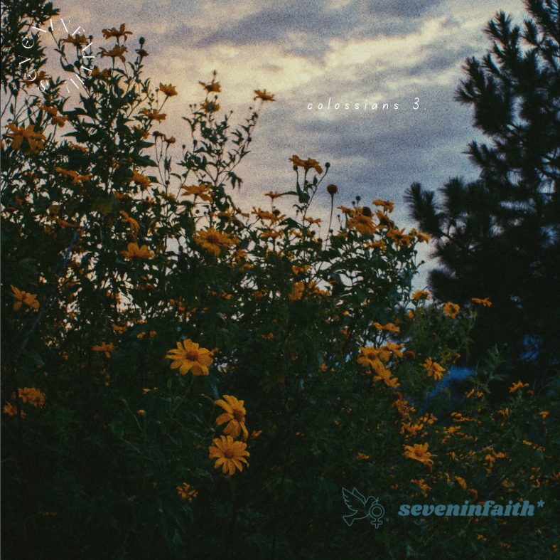 "Colossians 3" - dxvl