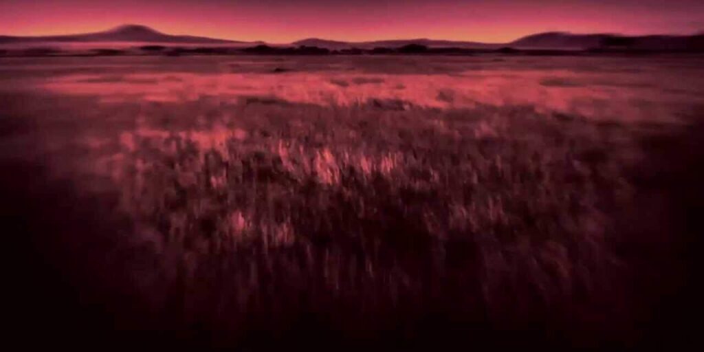 CXnc_MbNKZk