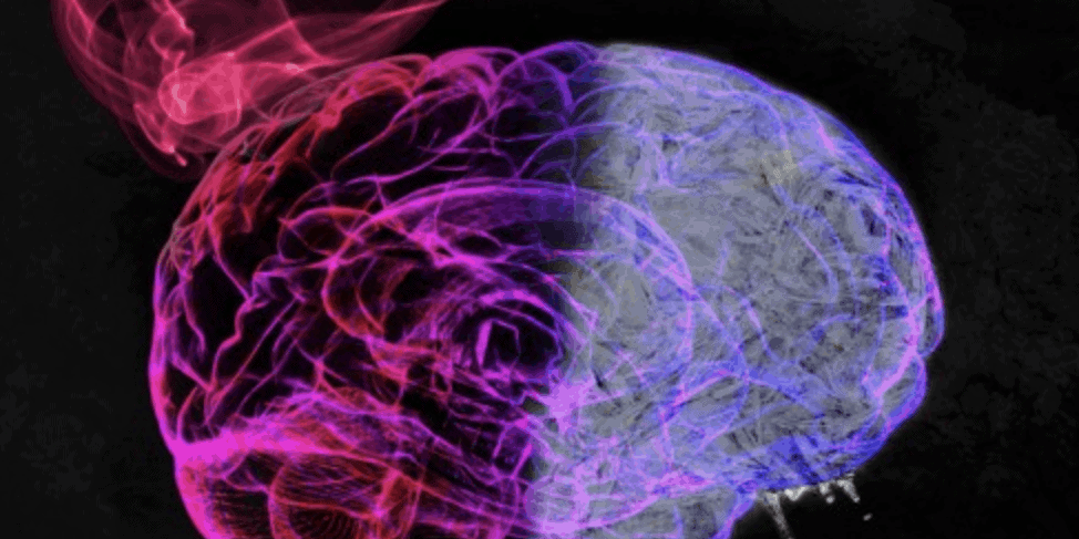 Screen-Shot-2018-12-08-at-10.22.09-AM