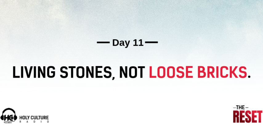 day 11