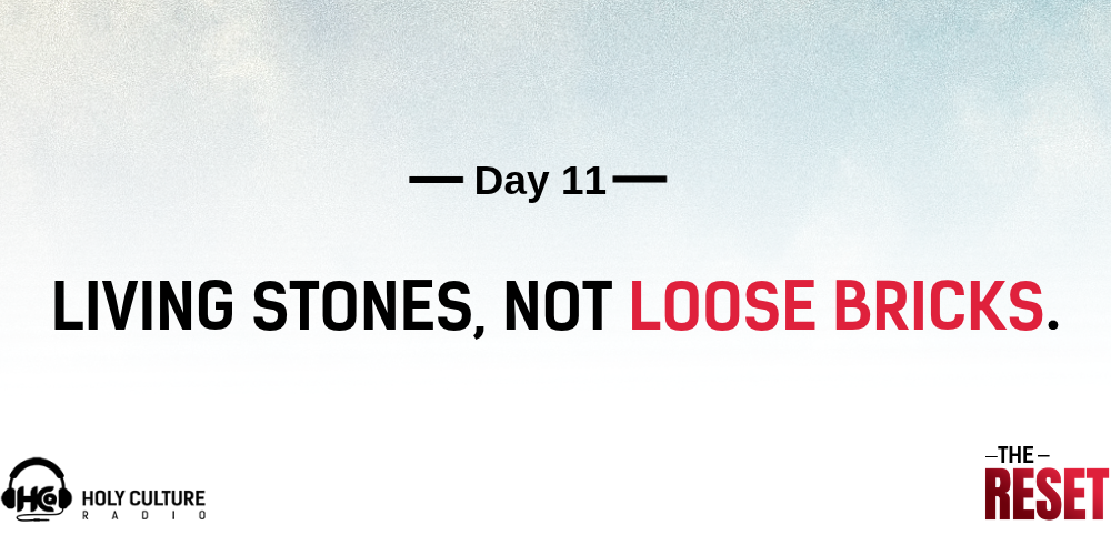 day 11