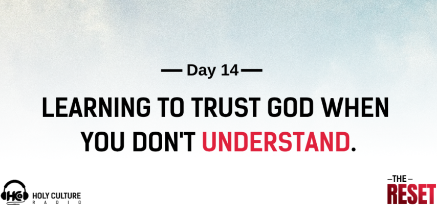 day 14