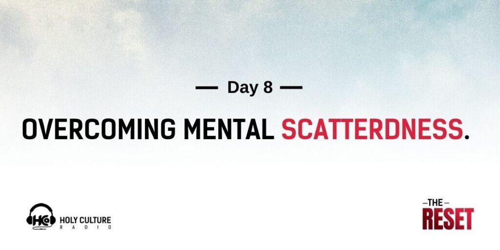 day 8 -