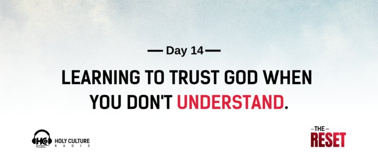 day 14